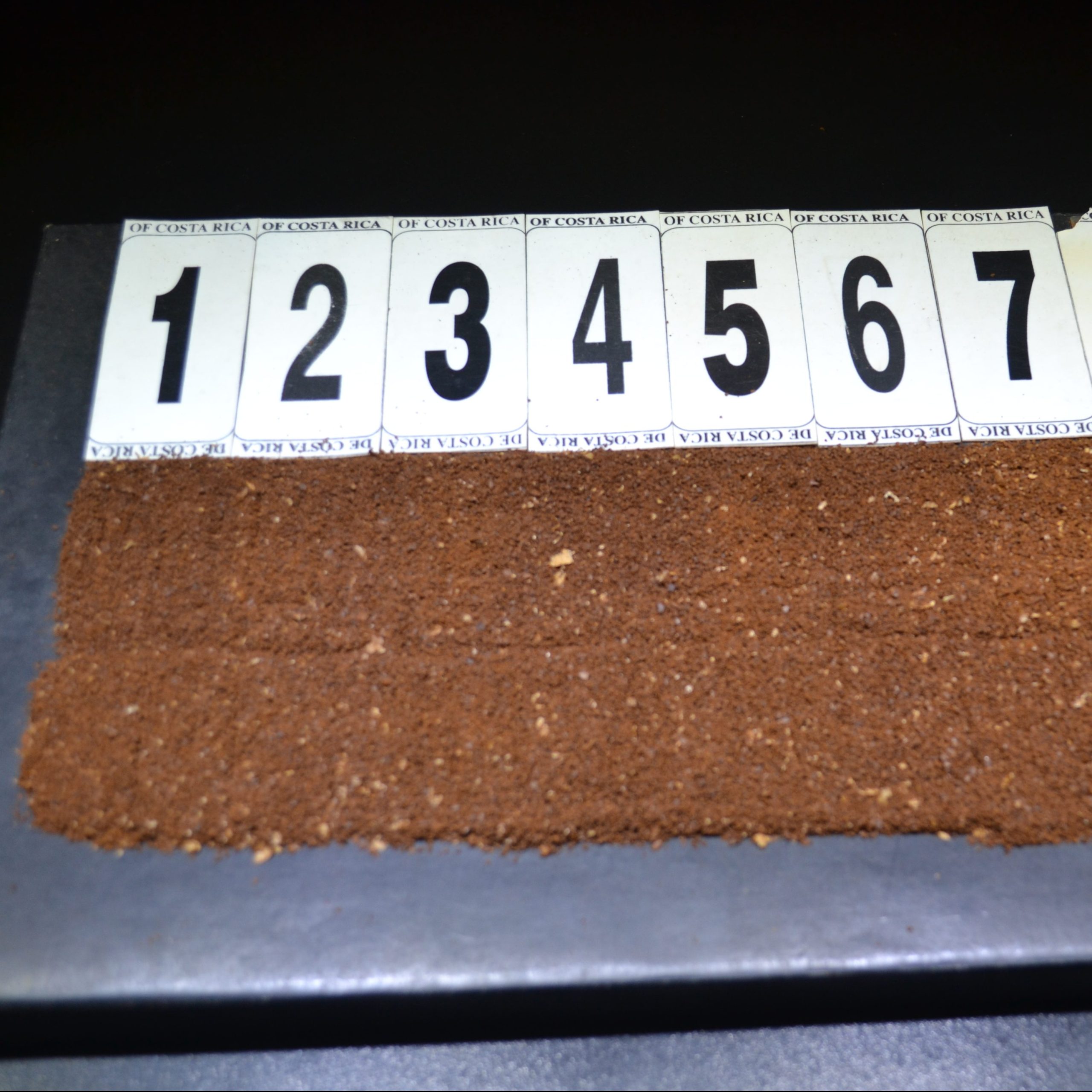 Costa Rica- La Candelilla Natural Geisha Finca Palmiliera